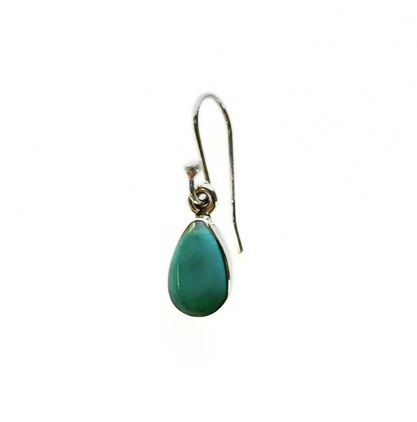 Small Turquoise Earrings